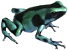 Amphibians Icon