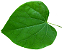 Trees (Broadleaf) Icon