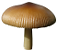 Fungi Icon