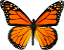 Lepidoptera Icon
