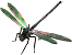 Odonata Icon